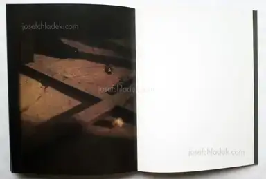 Sample page 1 for book "Heinze, Volker – Volker Heinze - Ahnung" Sample page 1 for book "Heinze, Volker – Volker Heinze - Ahnung"