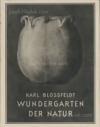 Karl Blossfeldt - Wundergarten der Natur. Neue Bilddokumente schöner Pflanzenformen Karl Blossfeldt - Wundergarten der Natur. Neue Bilddokumente schöner Pflanzenformen
