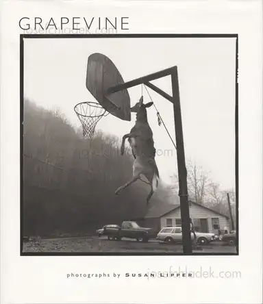 Susan Lipper - Grapevine Susan Lipper - Grapevine