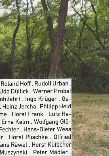 Rubén H. Bermúdez - Looking for freedom Rubén H. Bermúdez - Looking for freedom