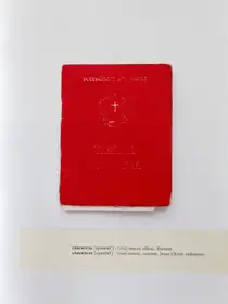 The Book of a Savior (signed + print)