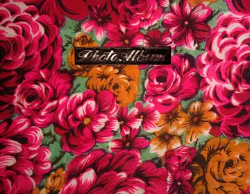 Gaza Photo Album (review copy)