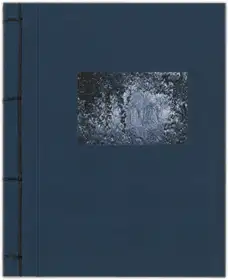 Light Shadow Movement (signed)