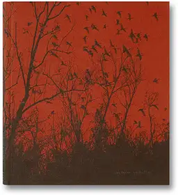 she dances on Jackson (signed - last two copies)