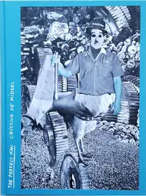 The Perfect Man (review copy)