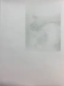 August Song 