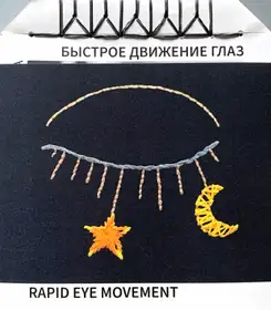 Rapid Eye Movement (signed - last copy)