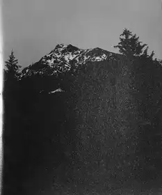 The Living Mountain