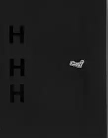 Heimat, Haus, Home (signed)