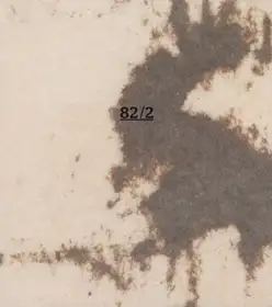 82