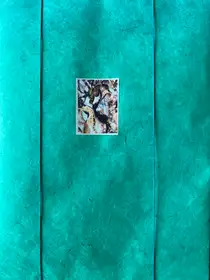 Floating Bonds (book + print)