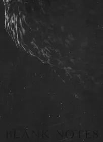 Blank Notes (signed)