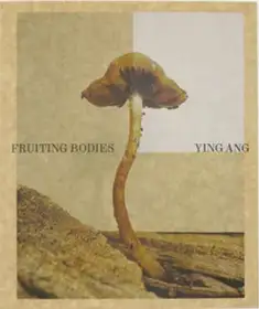Fruiting Bodies 