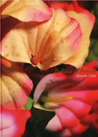 Belleza de Barrio (last review copy)