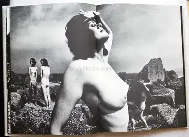 Sample page 19 for book "Wakabayashi, Nobuyuki – Nobuyuki Wakabayashi - Black Sun - 黒い太陽(若林のぶゆき) ." Sample page 19 for book "Wakabayashi, Nobuyuki – Nobuyuki Wakabayashi - Black Sun - 黒い太陽(若林のぶゆき) ."