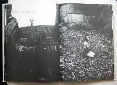 Sample page 15 for book "Wakabayashi, Nobuyuki – Nobuyuki Wakabayashi - Black Sun - 黒い太陽(若林のぶゆき) ." Sample page 15 for book "Wakabayashi, Nobuyuki – Nobuyuki Wakabayashi - Black Sun - 黒い太陽(若林のぶゆき) ."