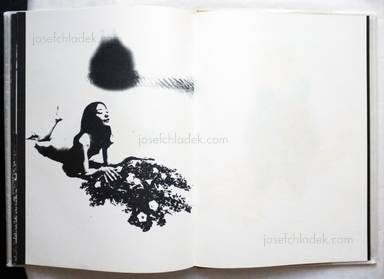 Sample page 21 for book  Nobuyuki Wakabayashi – Black Sun - 黒い太陽（若林のぶゆき）
