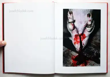 Sample page 14 for book "Monterde, Jesús – Jesús Monterde - Nemini Parco" Sample page 14 for book "Monterde, Jesús – Jesús Monterde - Nemini Parco"