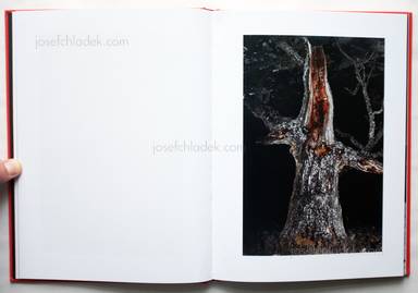 Sample page 4 for book  Jesús Monterde – Nemini Parco