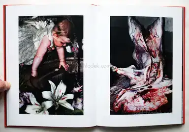 Sample page 12 for book "Monterde, Jesús – Jesús Monterde - Nemini Parco" Sample page 12 for book "Monterde, Jesús – Jesús Monterde - Nemini Parco"