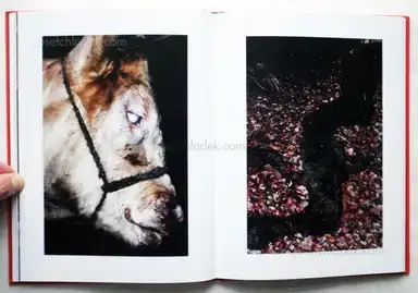 Sample page 8 for book "Monterde, Jesús – Jesús Monterde - Nemini Parco" Sample page 8 for book "Monterde, Jesús – Jesús Monterde - Nemini Parco"