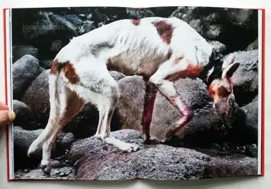 Sample page 7 for book "Monterde, Jesús – Jesús Monterde - Nemini Parco" Sample page 7 for book "Monterde, Jesús – Jesús Monterde - Nemini Parco"