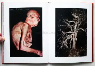 Sample page 6 for book "Monterde, Jesús – Jesús Monterde - Nemini Parco" Sample page 6 for book "Monterde, Jesús – Jesús Monterde - Nemini Parco"