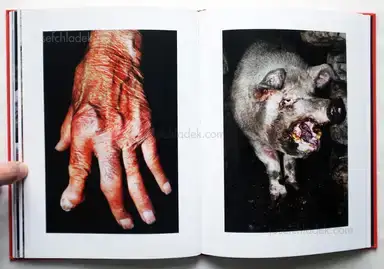 Sample page 5 for book "Monterde, Jesús – Jesús Monterde - Nemini Parco" Sample page 5 for book "Monterde, Jesús – Jesús Monterde - Nemini Parco"