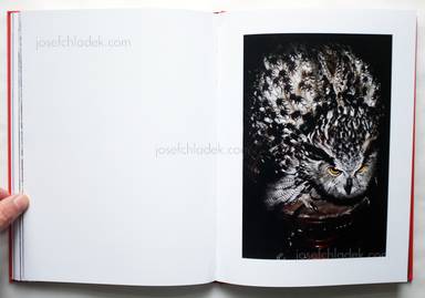 Sample page 2 for book "Monterde, Jesús – Jesús Monterde - Nemini Parco" Sample page 2 for book "Monterde, Jesús – Jesús Monterde - Nemini Parco"