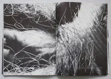 Sample page 1 for book "Rambow, Gunter – Gunter Rambow - Doris " Sample page 1 for book "Rambow, Gunter – Gunter Rambow - Doris "