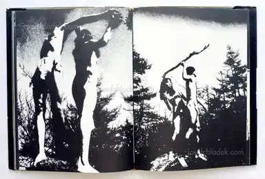 Sample page 8 for book "Wakabayashi, Nobuyuki – Nobuyuki Wakabayashi - Adam and Eve (アダムとイヴ : 若林のぶゆき写真集)" Sample page 8 for book "Wakabayashi, Nobuyuki – Nobuyuki Wakabayashi - Adam and Eve (アダムとイヴ : 若林のぶゆき写真集)"
