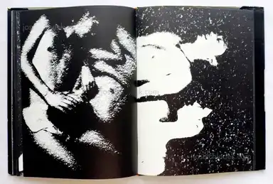 Sample page 3 for book "Wakabayashi, Nobuyuki – Nobuyuki Wakabayashi - Adam and Eve (アダムとイヴ : 若林のぶゆき写真集)" Sample page 3 for book "Wakabayashi, Nobuyuki – Nobuyuki Wakabayashi - Adam and Eve (アダムとイヴ : 若林のぶゆき写真集)"