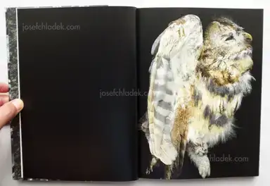 Sample page 25 for book "Wallard, Margot – Margot Wallard - Natten" Sample page 25 for book "Wallard, Margot – Margot Wallard - Natten"