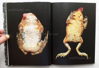 Sample page 24 for book "Wallard, Margot – Margot Wallard - Natten" Sample page 24 for book "Wallard, Margot – Margot Wallard - Natten"