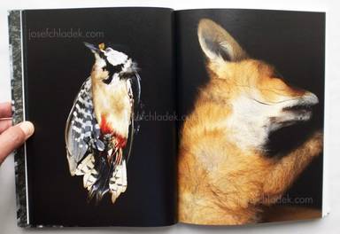 Sample page 23 for book "Wallard, Margot – Margot Wallard - Natten" Sample page 23 for book "Wallard, Margot – Margot Wallard - Natten"