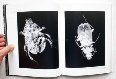 Sample page 13 for book "Wallard, Margot – Margot Wallard - Natten" Sample page 13 for book "Wallard, Margot – Margot Wallard - Natten"