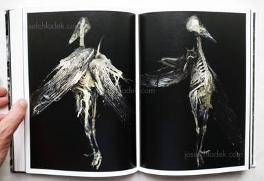 Sample page 8 for book "Wallard, Margot – Margot Wallard - Natten" Sample page 8 for book "Wallard, Margot – Margot Wallard - Natten"