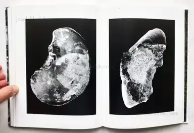 Sample page 5 for book "Wallard, Margot – Margot Wallard - Natten" Sample page 5 for book "Wallard, Margot – Margot Wallard - Natten"