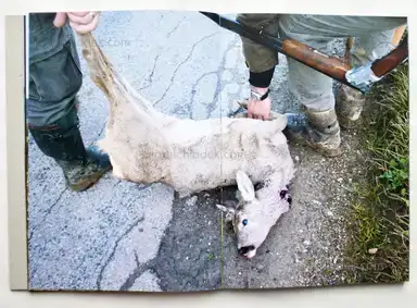 Sample page 17 for book "Lehner, Simon – Simon Lehner - JAGA" Sample page 17 for book "Lehner, Simon – Simon Lehner - JAGA"