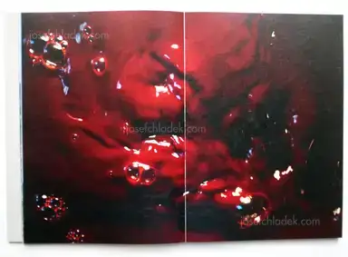 Sample page 15 for book "Lehner, Simon – Simon Lehner - JAGA" Sample page 15 for book "Lehner, Simon – Simon Lehner - JAGA"