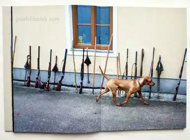 Sample page 14 for book "Lehner, Simon – Simon Lehner - JAGA" Sample page 14 for book "Lehner, Simon – Simon Lehner - JAGA"