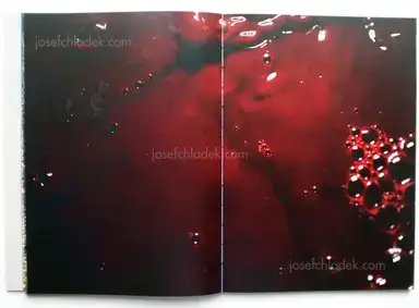 Sample page 11 for book "Lehner, Simon – Simon Lehner - JAGA" Sample page 11 for book "Lehner, Simon – Simon Lehner - JAGA"