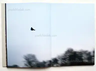 Sample page 9 for book "Lehner, Simon – Simon Lehner - JAGA" Sample page 9 for book "Lehner, Simon – Simon Lehner - JAGA"