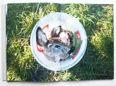 Sample page 8 for book "Lehner, Simon – Simon Lehner - JAGA" Sample page 8 for book "Lehner, Simon – Simon Lehner - JAGA"