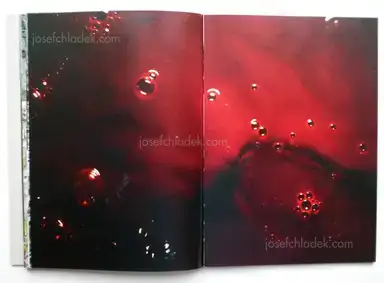 Sample page 5 for book "Lehner, Simon – Simon Lehner - JAGA" Sample page 5 for book "Lehner, Simon – Simon Lehner - JAGA"