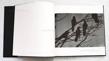 Sample page 2 for book  Masahisa Fukase – Karasu, Ravens