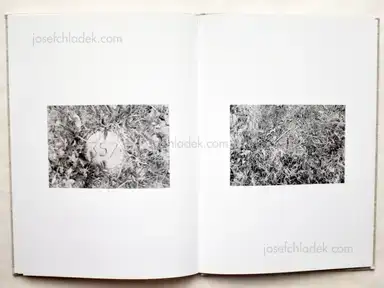 Sample page 3 for book "Pollman, Sarah – Sarah Pollman - The Distances Between Us" Sample page 3 for book "Pollman, Sarah – Sarah Pollman - The Distances Between Us"