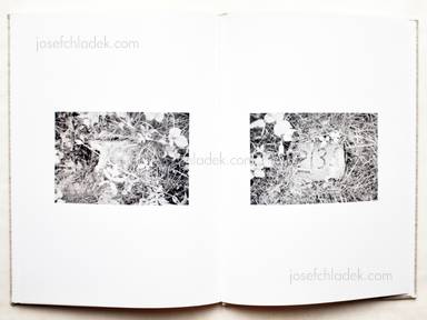 Sample page 1 for book "Pollman, Sarah – Sarah Pollman - The Distances Between Us" Sample page 1 for book "Pollman, Sarah – Sarah Pollman - The Distances Between Us"