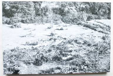 Sample page 16 for book "Debus, Julia – Julia Debus - Konsens" Sample page 16 for book "Debus, Julia – Julia Debus - Konsens"