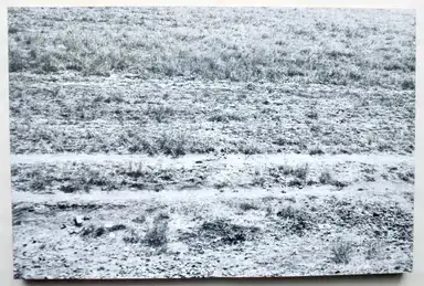 Sample page 15 for book "Debus, Julia – Julia Debus - Konsens" Sample page 15 for book "Debus, Julia – Julia Debus - Konsens"